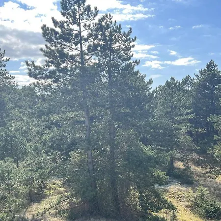 Haus-brandung-whg-07 *